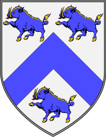 McGann family crest McGann family crest