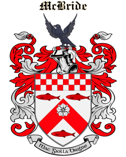MCBRIDE family crest MCBRIDE family crest