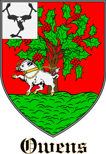 OWENS family crest